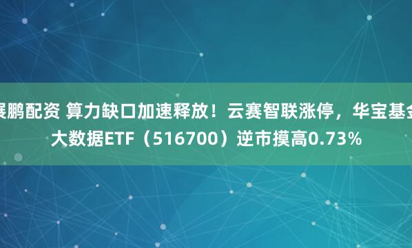 展鹏配资 算力缺口加速释放！云赛智联涨停，华宝基金大数据ETF（516700）逆市摸高0.73%