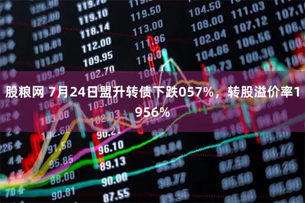 股粮网 7月24日盟升转债下跌057%,转股溢价率1956%